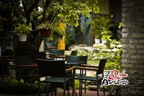 soi-da-1 Cafe Sỏi Đá - Hòa quyện cùng thiên nhiên