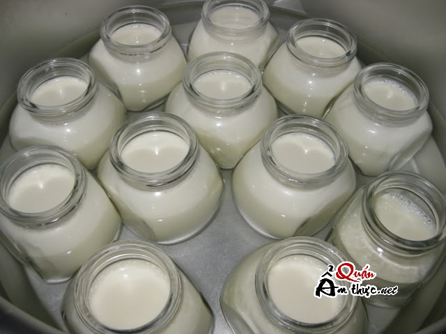 sua-chua-nha-dam Cách làm sữa chua nha đam tại nhà ngon nhất