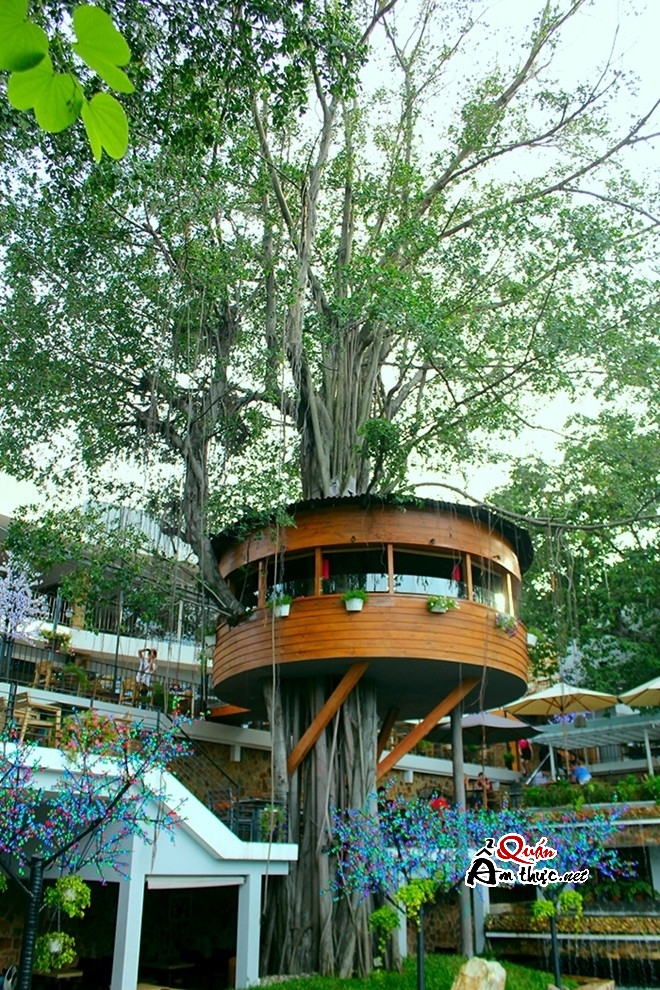 01 Khám phá quán cà phê trên cây độc đáo nhất Sài Gòn