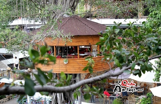 01 Khám phá quán cà phê trên cây độc đáo nhất Sài Gòn